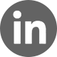 LinkedIn Icon